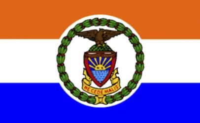 BRONX NY FLAG